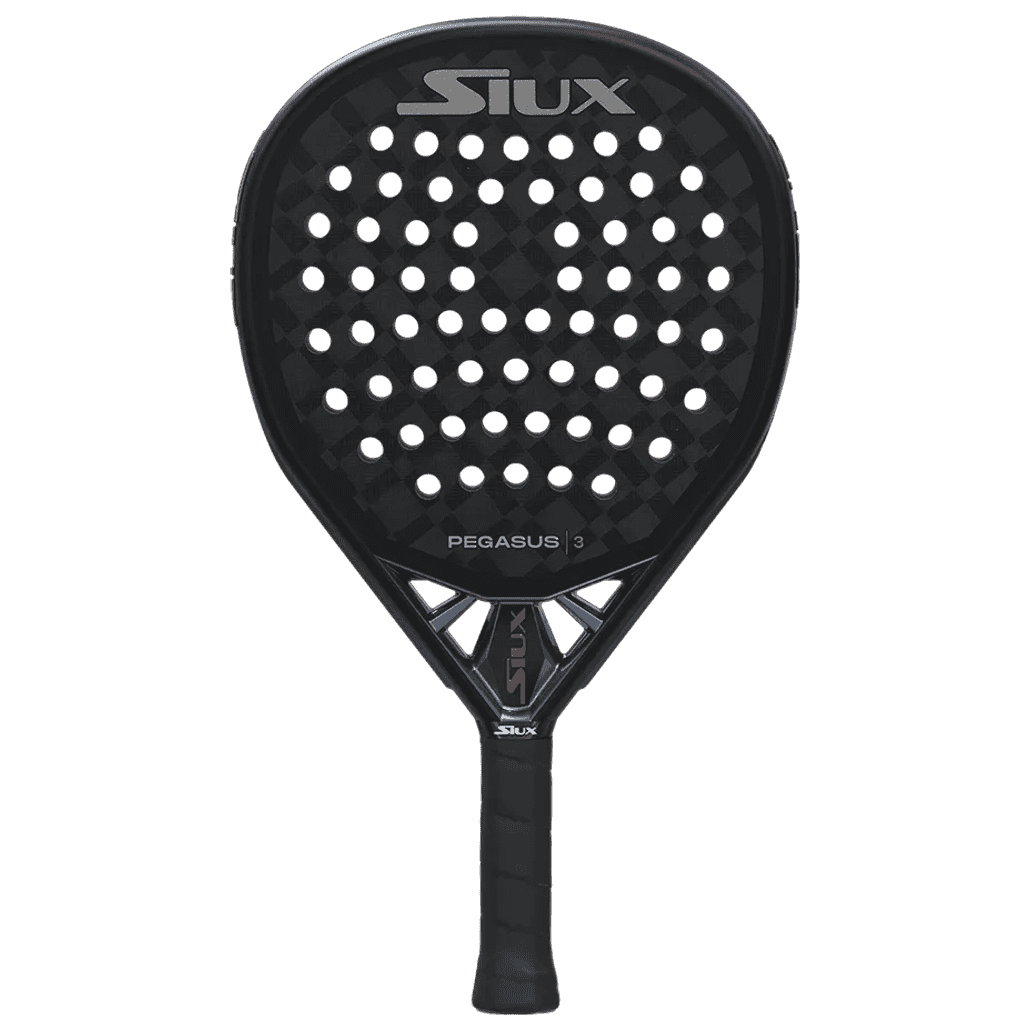 Siux Pegasus 3 2025
